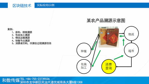 傳統(tǒng)產(chǎn)業(yè)融入?yún)^(qū)塊鏈 和數(shù)軟件如何以技術(shù)賦能，穩(wěn)健前行